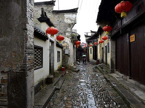 动物帮帮忙保卫家园